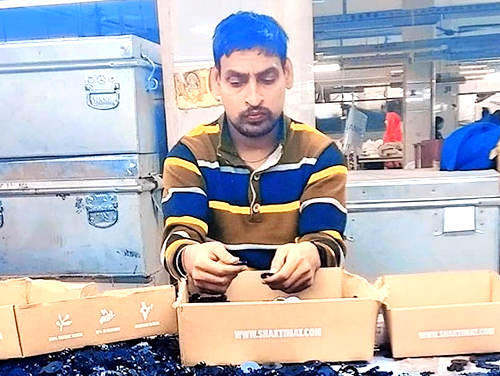 vicky-kishore-export